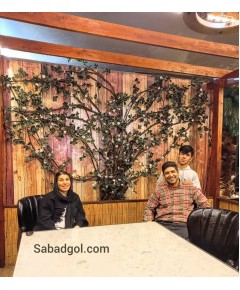 گل رونده مصنوعی برای کافه